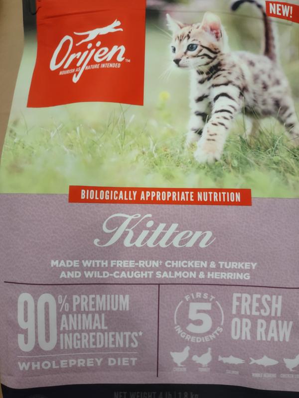 Orijen cat best sale & kitten review