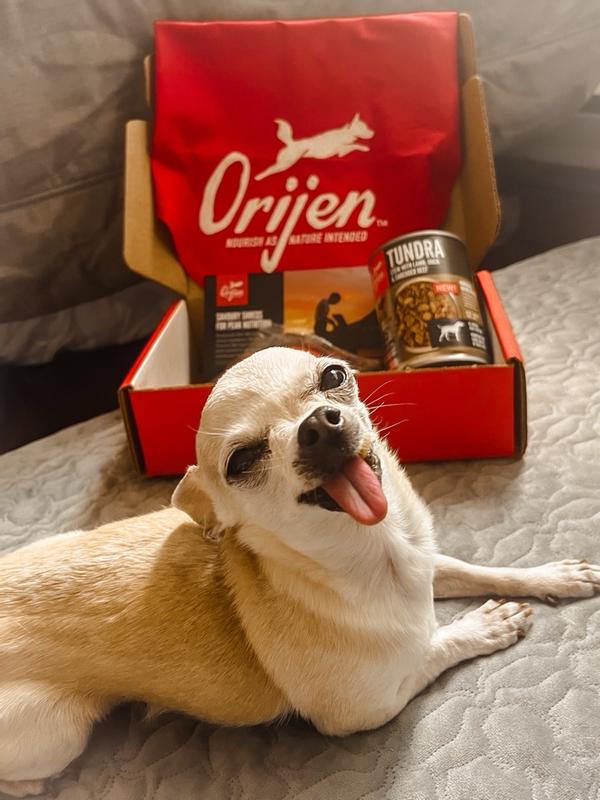 Orijen chihuahua sale