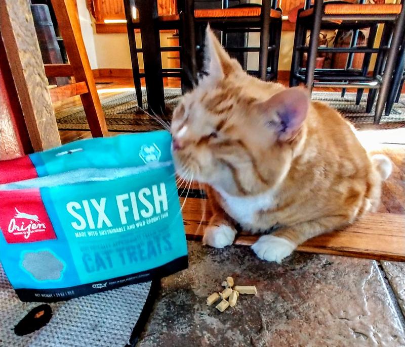 Orijen six fish cat food best sale