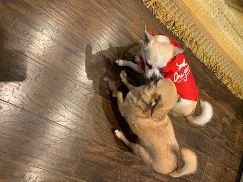 Sporting the Origen gear