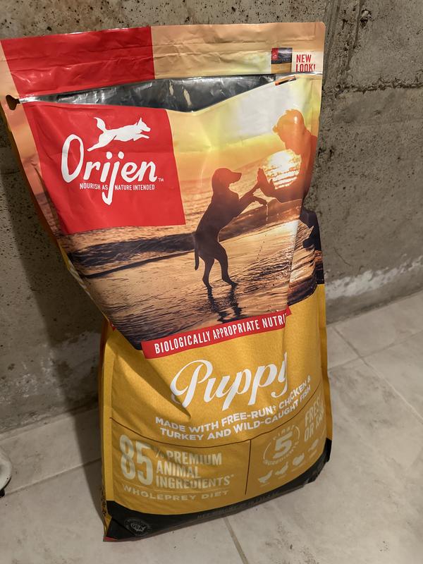 Orijen puppy food best sale