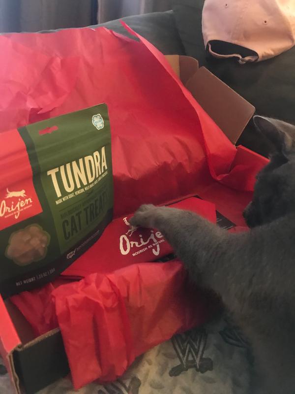 Orijen tundra cat treats best sale