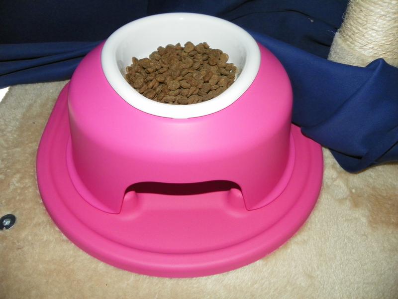 Orijen fit and outlet trim cat food