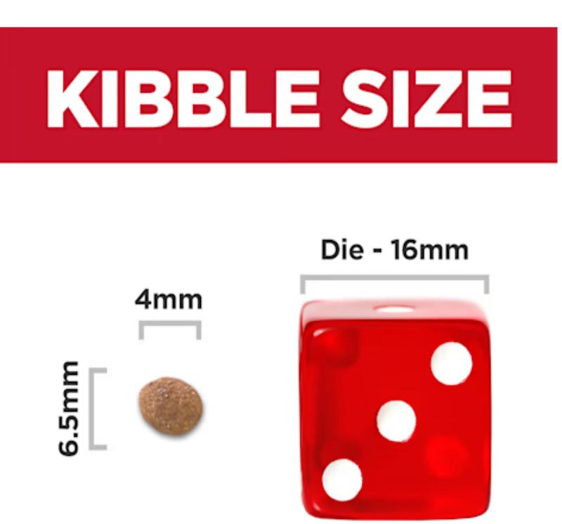 Here is the Kibble size of the Small & Mini puppy.
