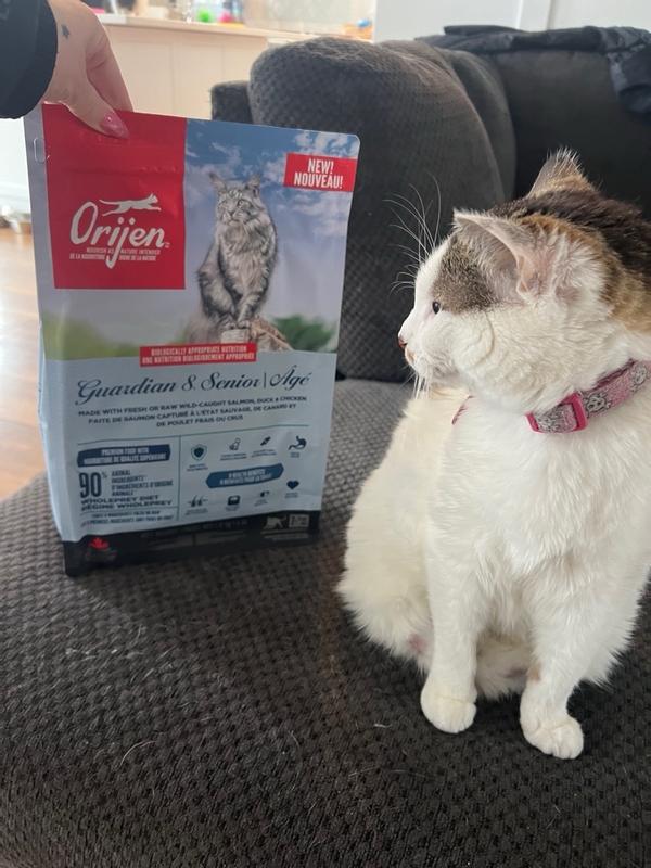 ORIJEN Guardian Senior Cat Food for Heart Joint Brain Health ORIJEN