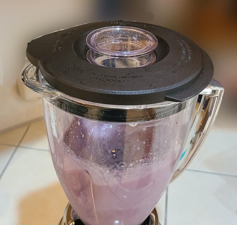 Oster® Classic Series 16 Speed Blender with Food Chopper and Glass