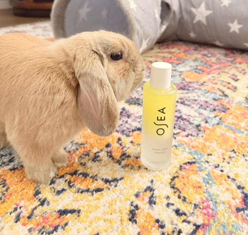 Customer photo for "A single-step miracle for a chronically ill skin care junkie"