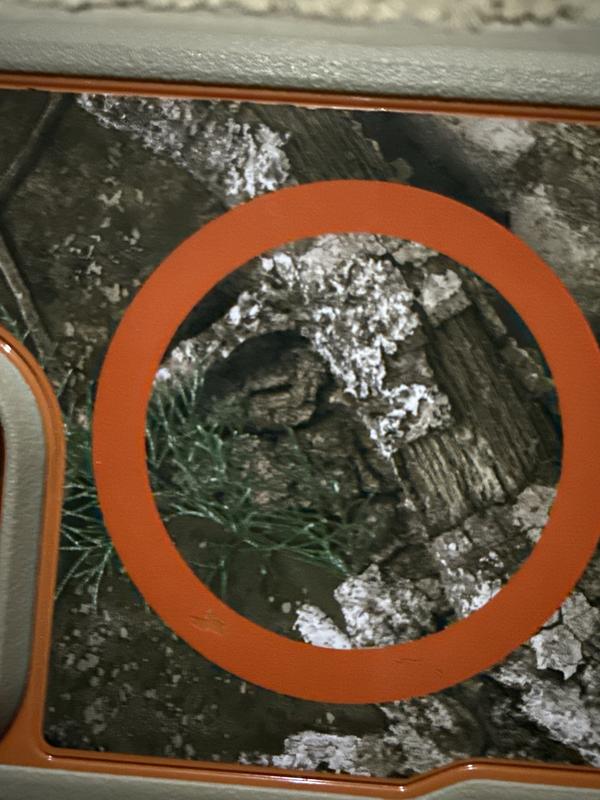 Bottom left of orange