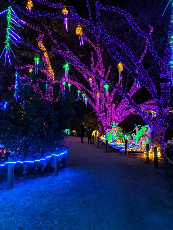 No obstruction of the lens by this cover /insert thumbs up emoji/