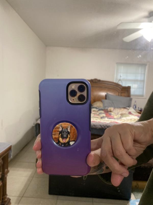 Photo - commentaire&nbsp;5.