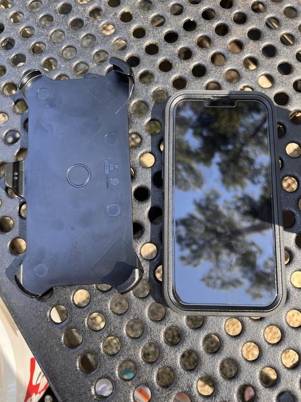 Case and clip holster