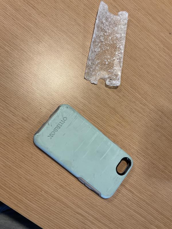 Several scrapes from the road