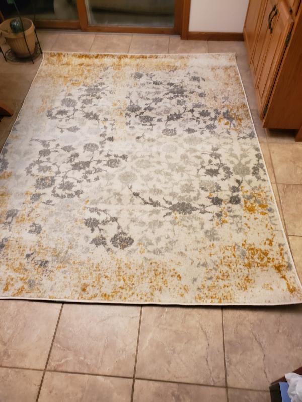 Ottomanson Rixos 6 X 7 (ft) Beige Indoor Area Rug at Lowes.com