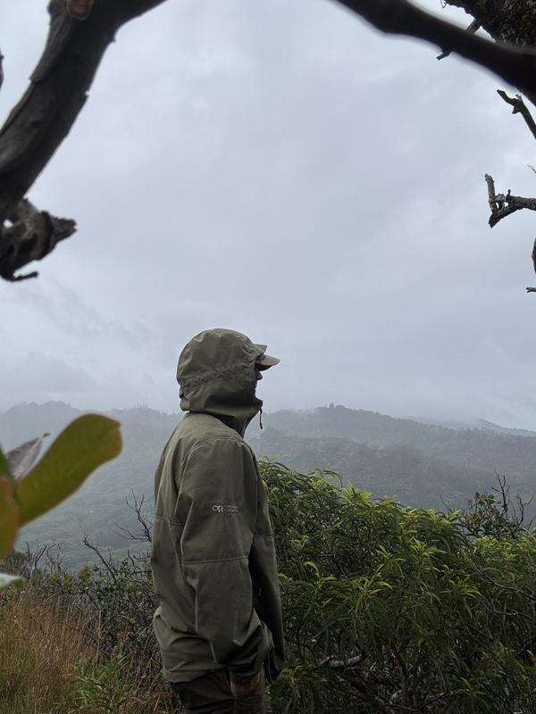 Review Thumbnail Image 0 383994387