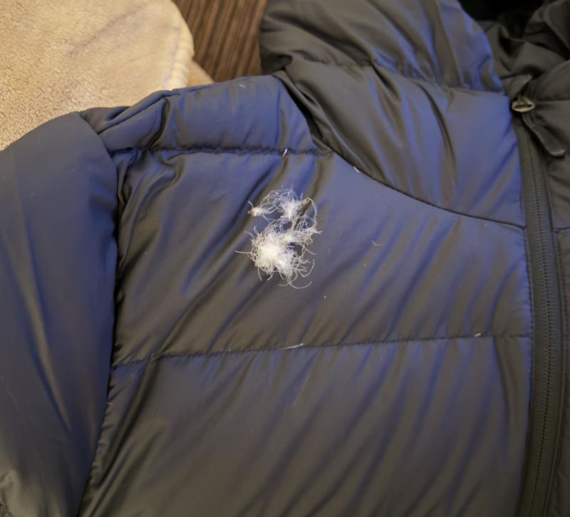 Men's Coldfront Down Hoodie | Outdoor Research