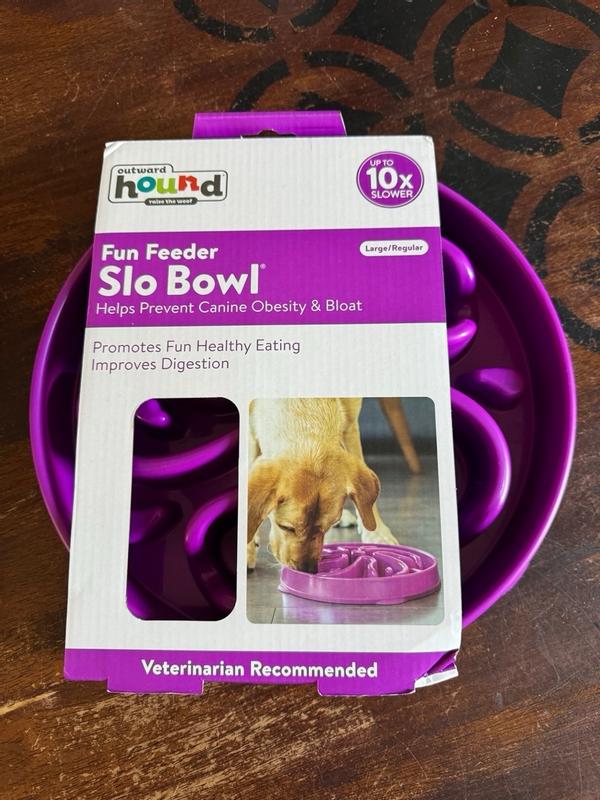 Outward Hound Slow Fun Feeder Dog Bowl