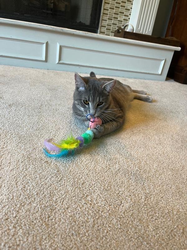 Catstages Tail Teaser Ground Prey Interactive Wand Cat Toy | Petco