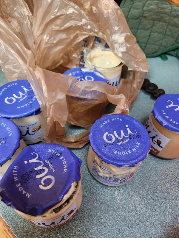 Oui Lids Sold Individually for Glass Yogurt Container Blue Food Safe Crafts Jar  Lids Plastic Lids Regular Jar Petite Jar 