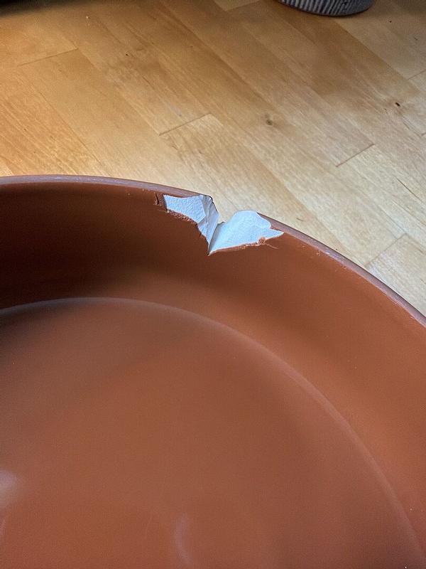 Customer photo for "Cute, but extremely fragile. 3 have broken."