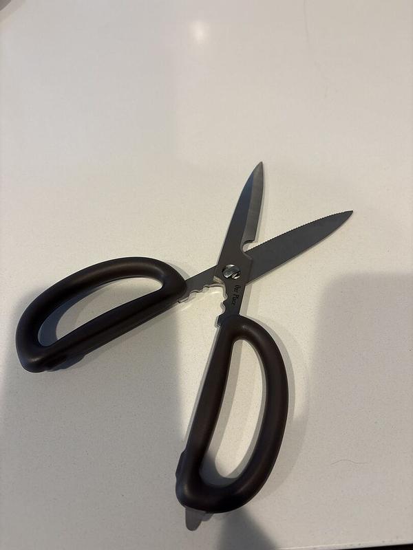 Customer photo for "Great scissors!"