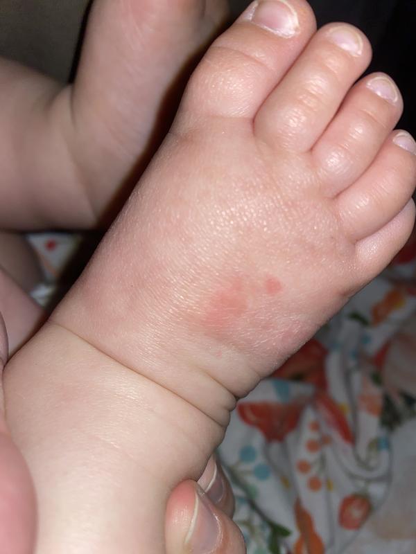 Smart Sock Baby Monitor – Owlet Australia