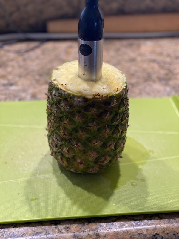 OXO Good Grips® Stainless Steel Ratcheting Pineapple Slicer Bed Bath and Beyond Canada