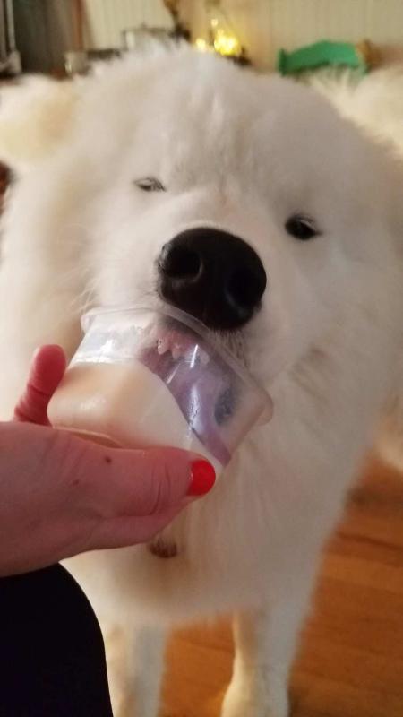 Smooth rims! Our dog goofily enjoyed a frozen treat straight from the container!
