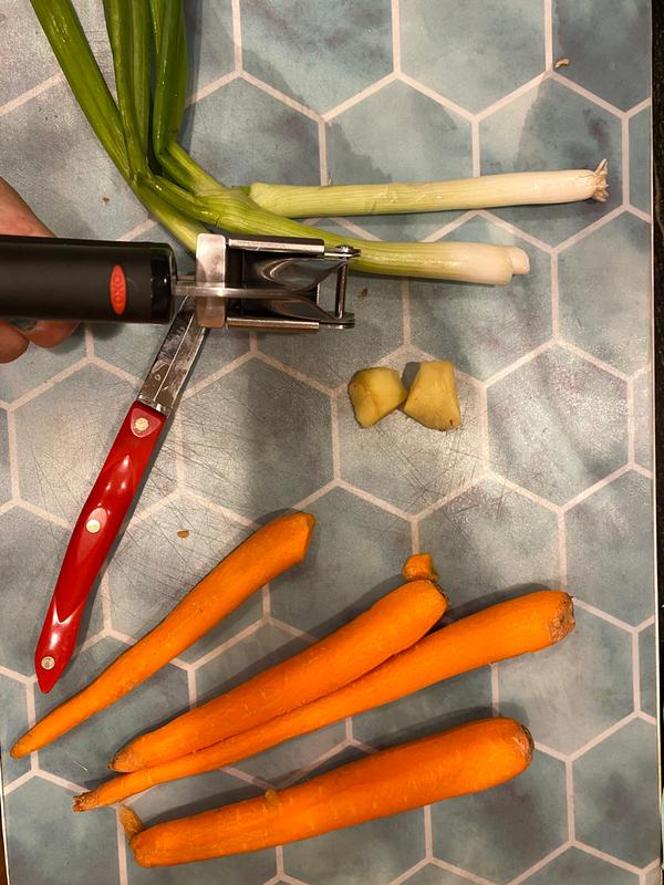 OXO SoftWorks Garlic Press (1 ct) Delivery - DoorDash