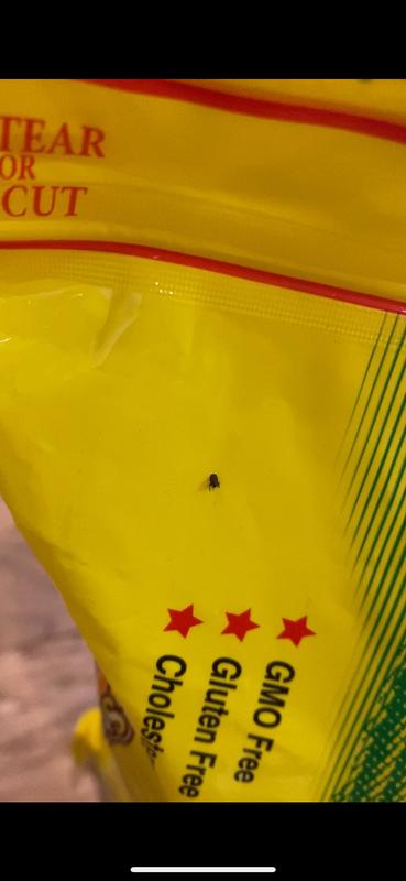 Weevil on the rice bag