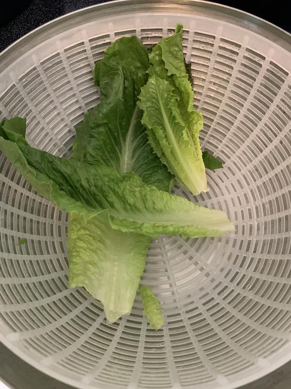 This lettuce has been in my fridge for a week and still crispy