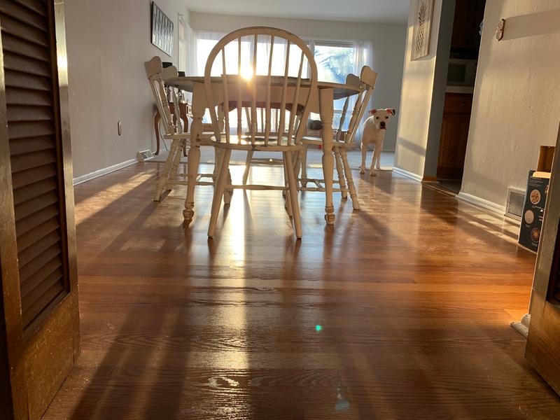 Before using the duster (with one of the culprits of the dust/hair)