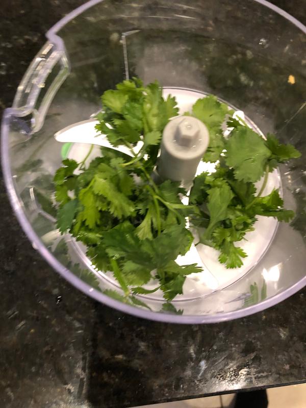 Second test: cilantro