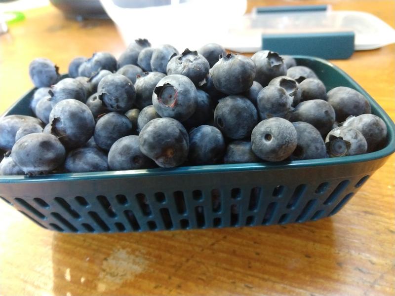 A full pint of blueberries is just a little bit too much for this basket