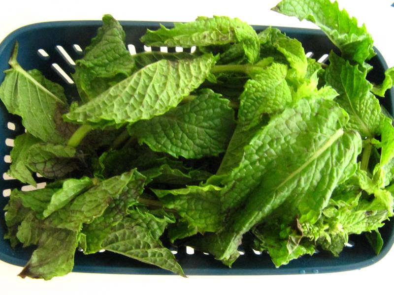 Mint in Colander