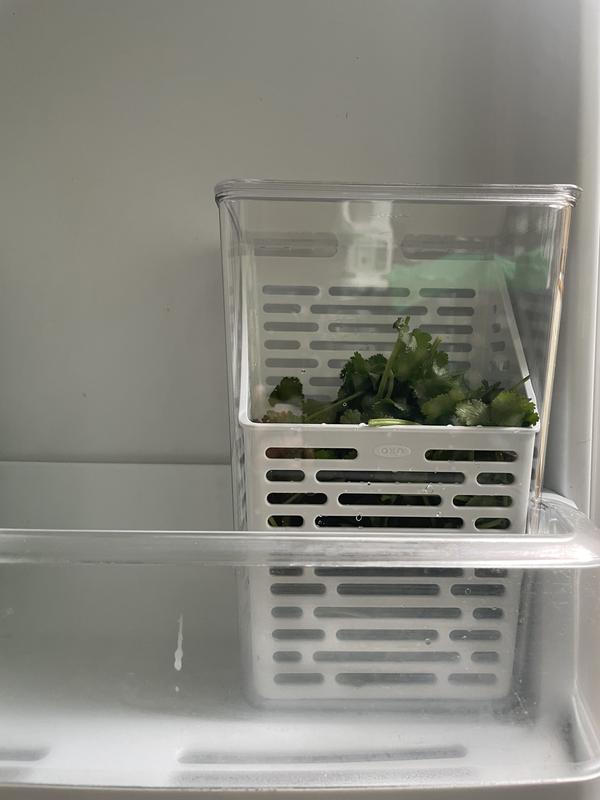 Fits nicely in fridge tray