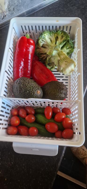 Oxo medium produce saver