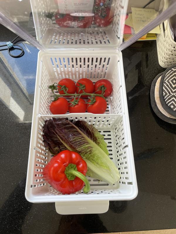 Veg storage