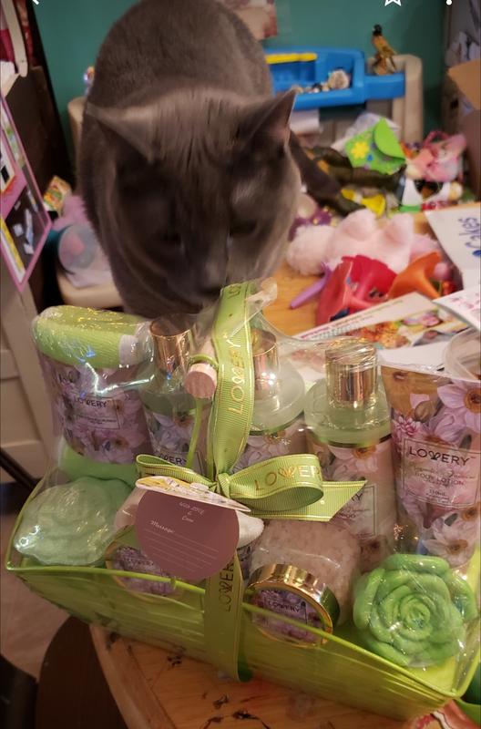 Even the Cat Thought It Was Beautiful!