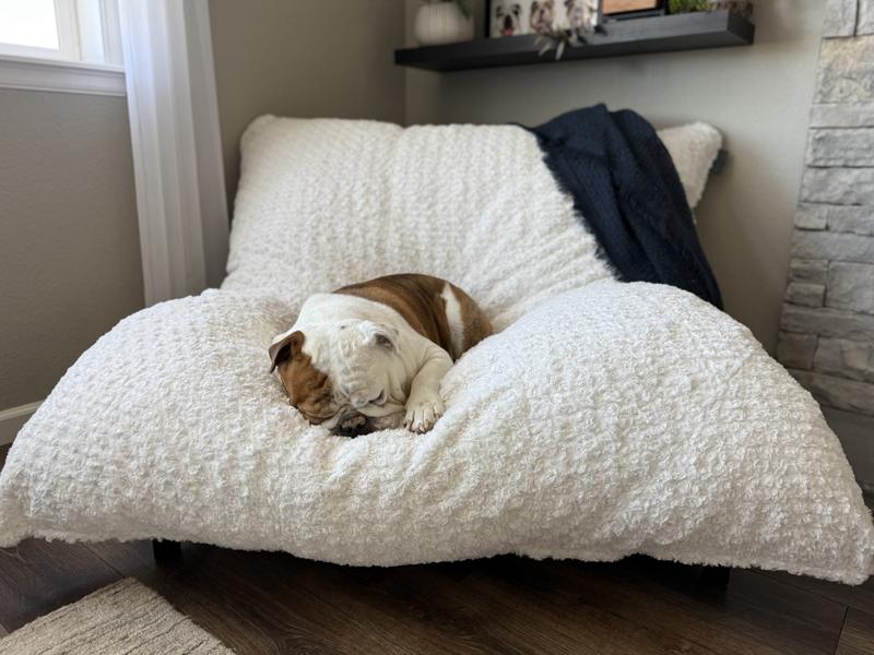 Lovesac Supersac Insert