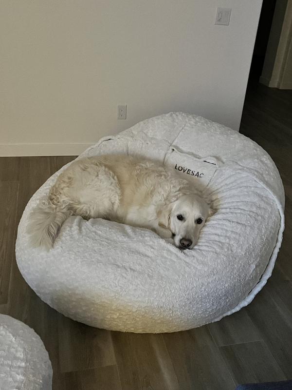 Lovesac dog bed best sale