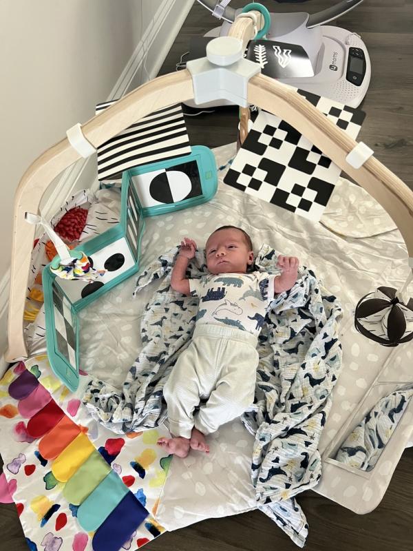 Lovevery, The Play Gym | Zola Baby