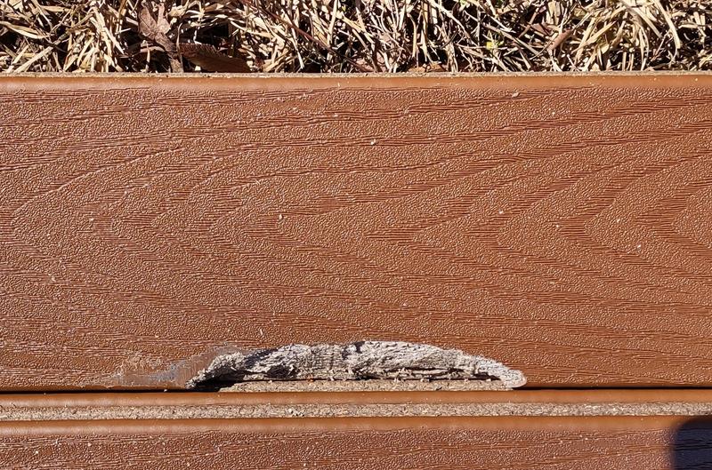 GRAY BOARDS SOLID 154 グラトリ Trex Select 1-in x 6-in x 20-ft Pebble Grey Square Composite