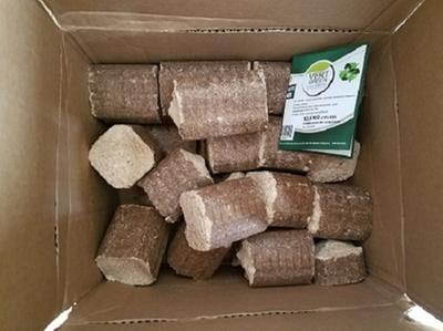 Qualiflame Firelogs 29-lb Natural Fire Log (10-Pack) at Lowes.com