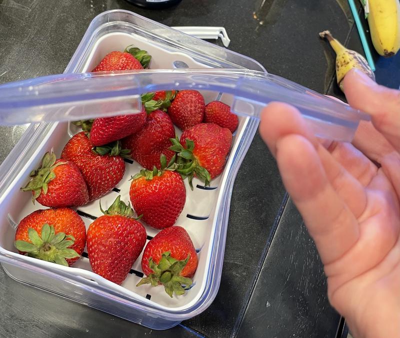 Divided Berry Bin with lid Clear - Brightroom™