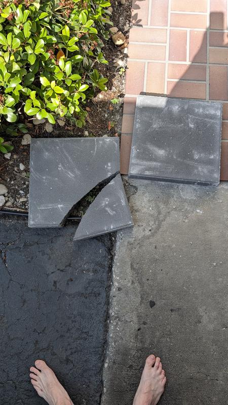 https://photos-us.bazaarvoice.com/photo/2/cGhvdG86bG93ZXM/02275e01-4e81-5d9f-ada8-2bcdb7f6b63b