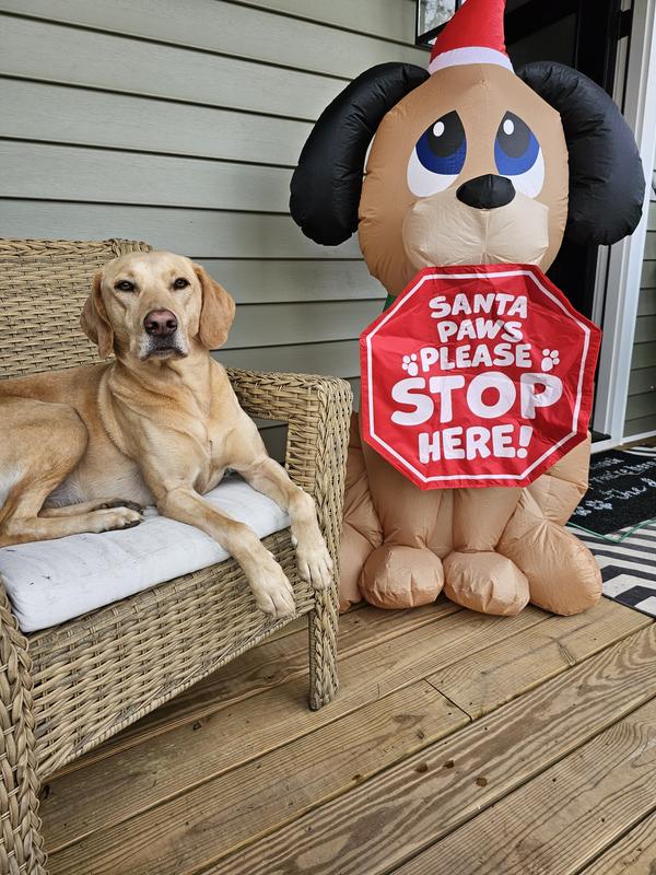 Holiday Living 5-ft Lighted Dog Christmas Inflatable in the Christmas ...