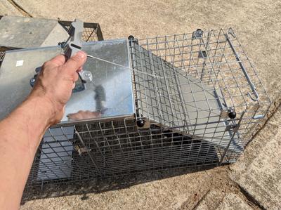 Woodstream - Havahart - EZ Set Cage Trap - Raccoon 1085 Easy Set Live  Animal Cage Trap
