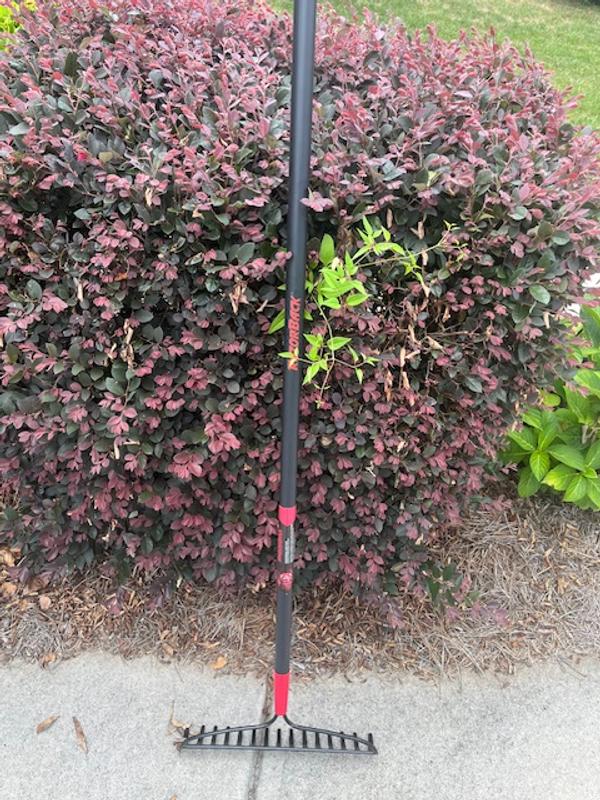 Razor-Back 66.5-in L Fiberglass-Handle Steel Garden Rake Razor-Back 66.5-in L Fiberglass-Handle Steel Garden Rake