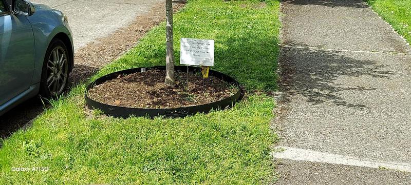 Colmet 3-ft x 4-in Tree Ring Black Texture Steel Landscape Edging ...