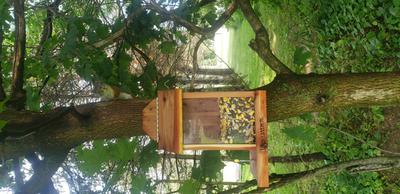 Cedar Critter Feeder Homegrown Lidded Box Post Mount Brown Feed Compartment 